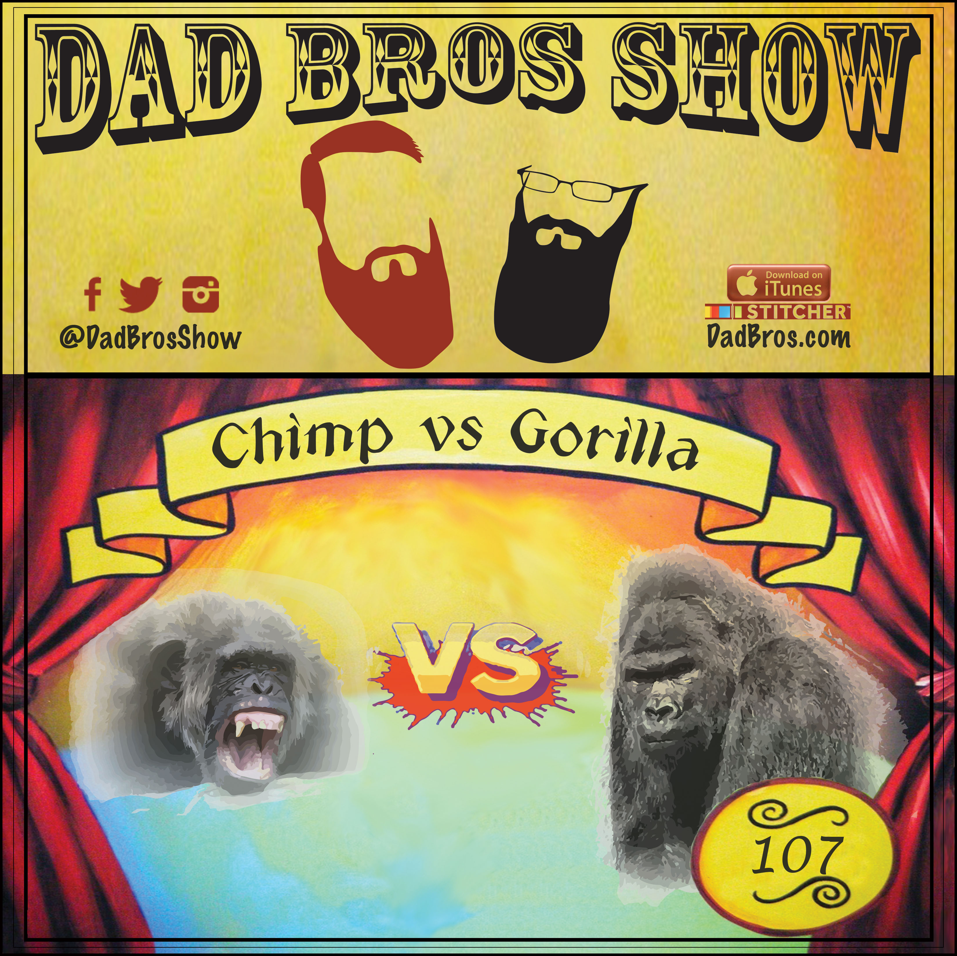 chimpanzee vs gorilla images